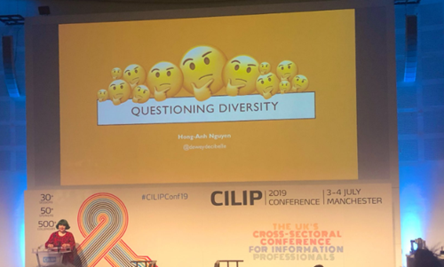 Questioning Diversity - Hong-Anh Nguyen
