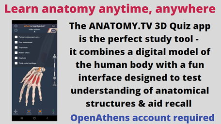 Anatomy TV Library Screens